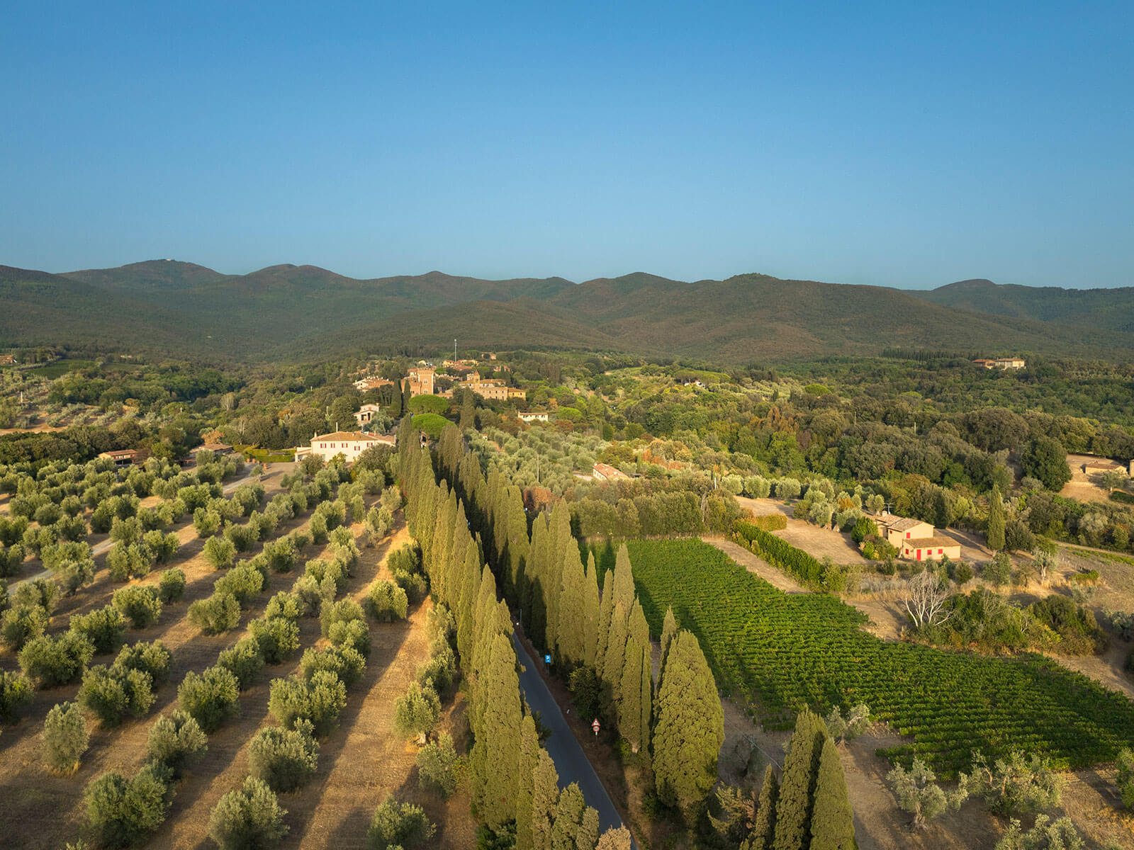 Ornellaia - Bolgheri Tuscany | Ornellaia